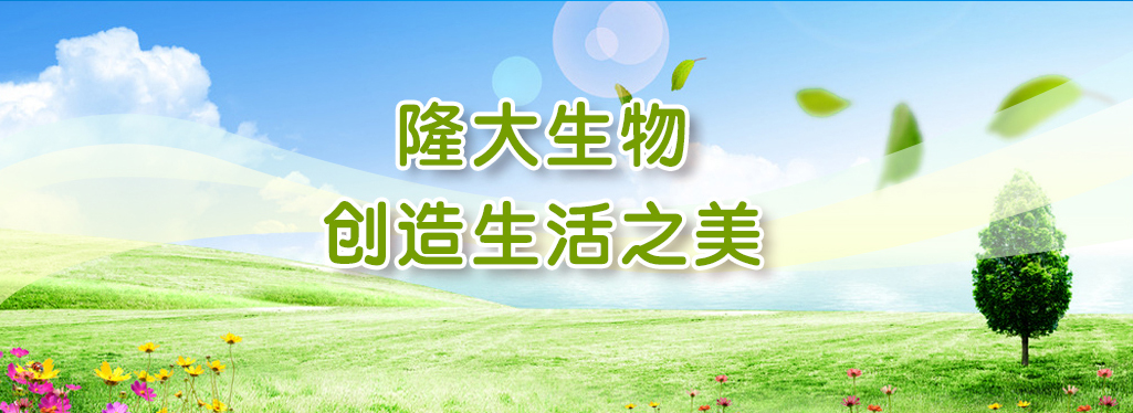 创造生活之美